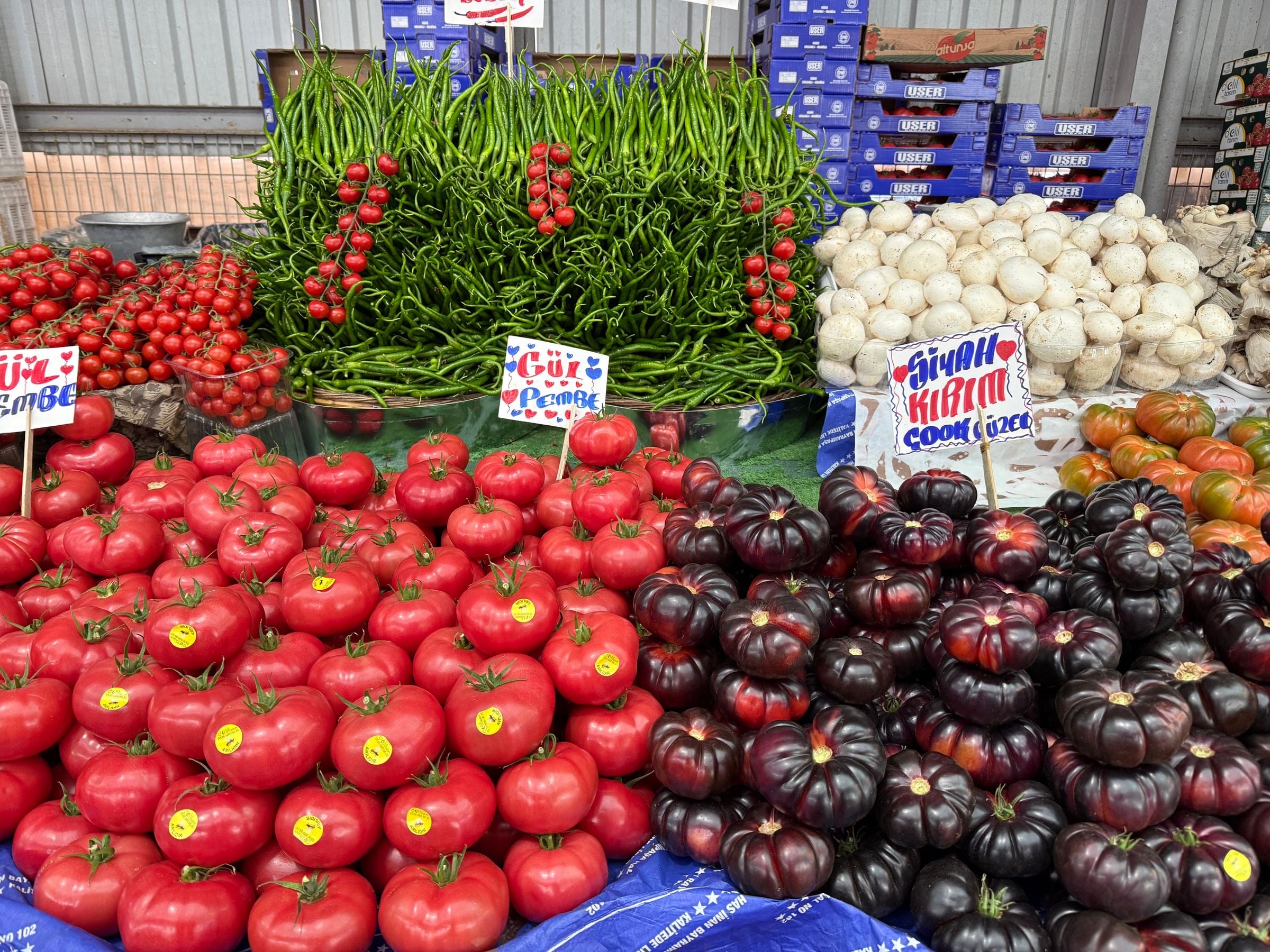 Tomatoes, peppers and mushrooms on a fresh produce display